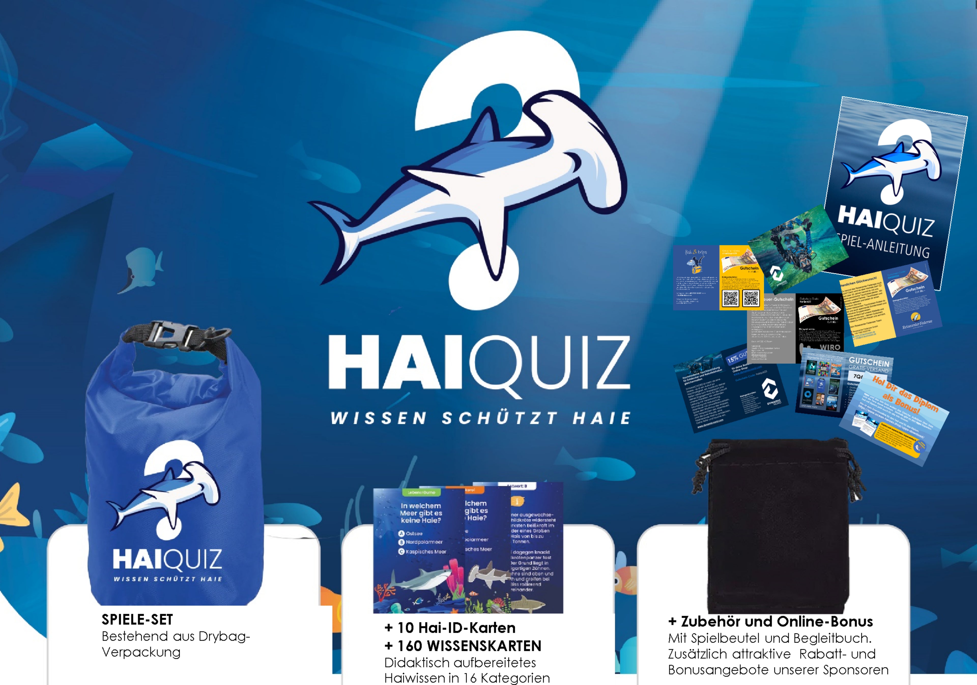 HAI-QUIZ Wissen schützt Haie