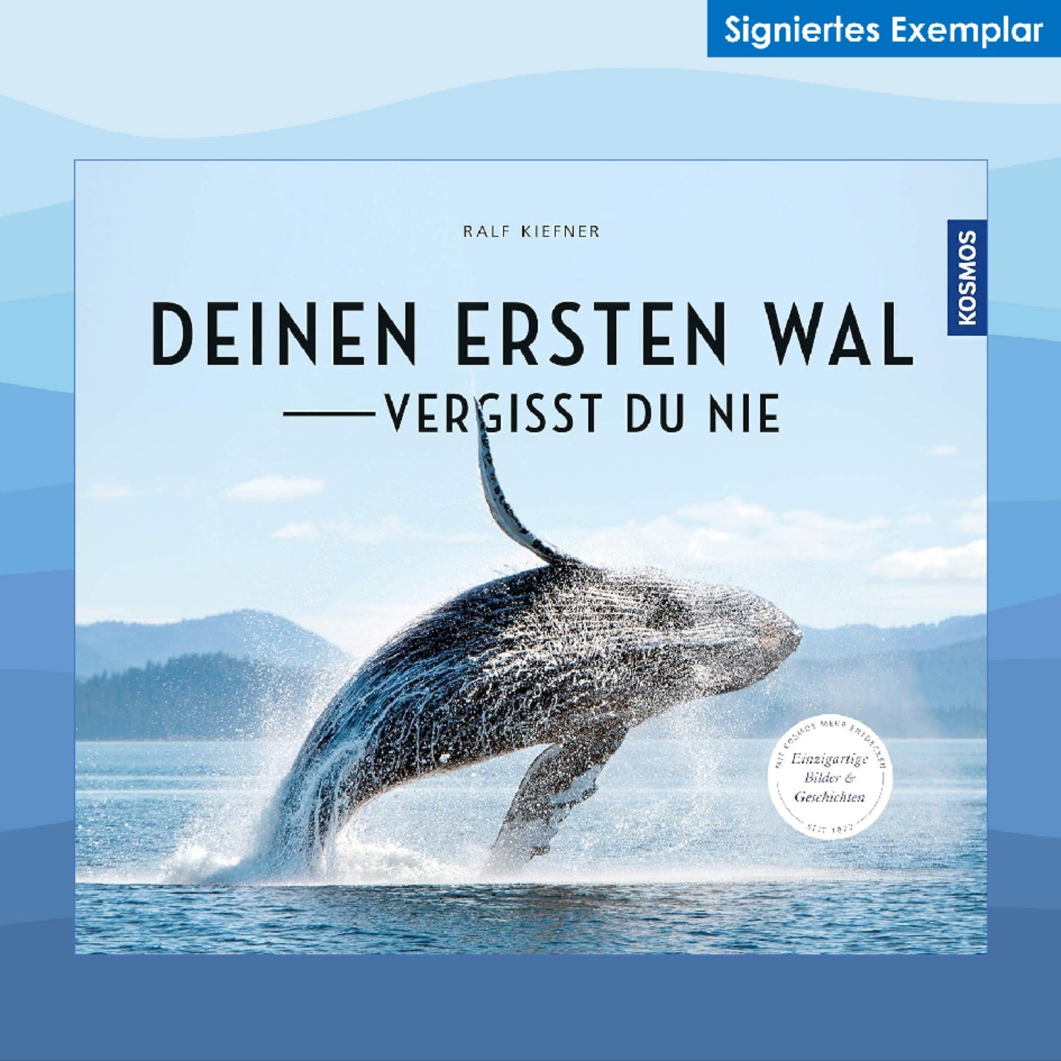 Deinen ersten Wal vergißt Du nie