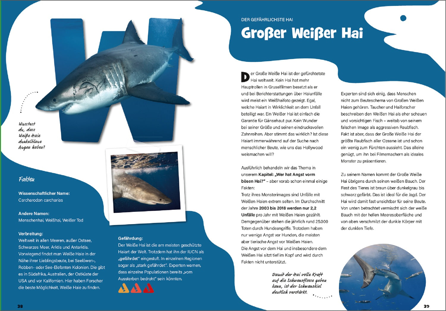 UPPS - Das große Haibuch (nicht nur für Kinder)