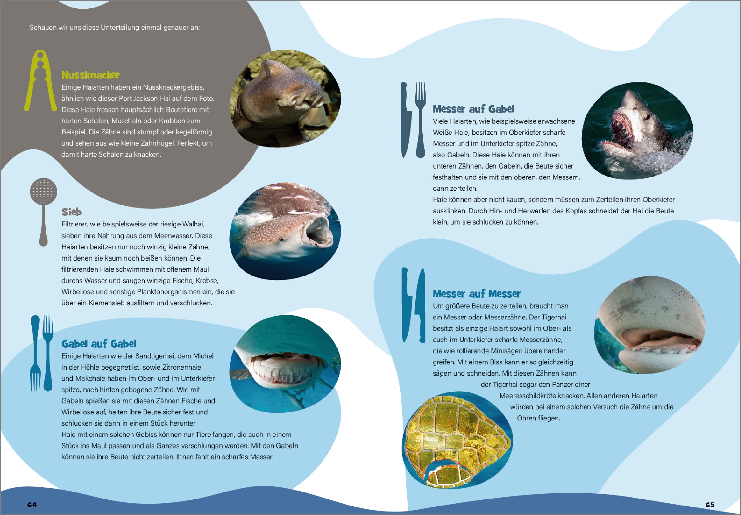 UPPS - Das große Haibuch (nicht nur für Kinder)