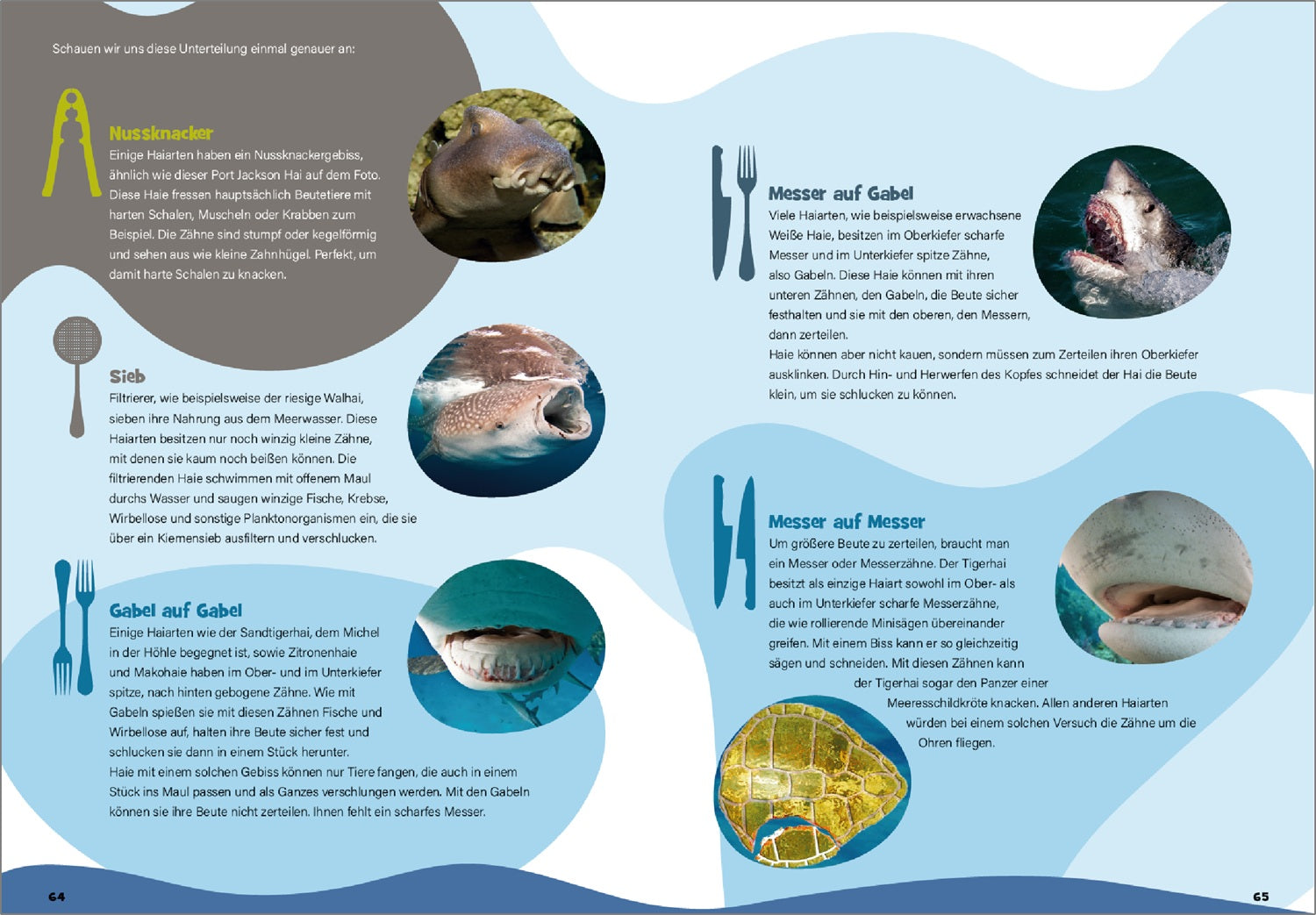 UPPS - Das große Haibuch (nicht nur für Kinder)